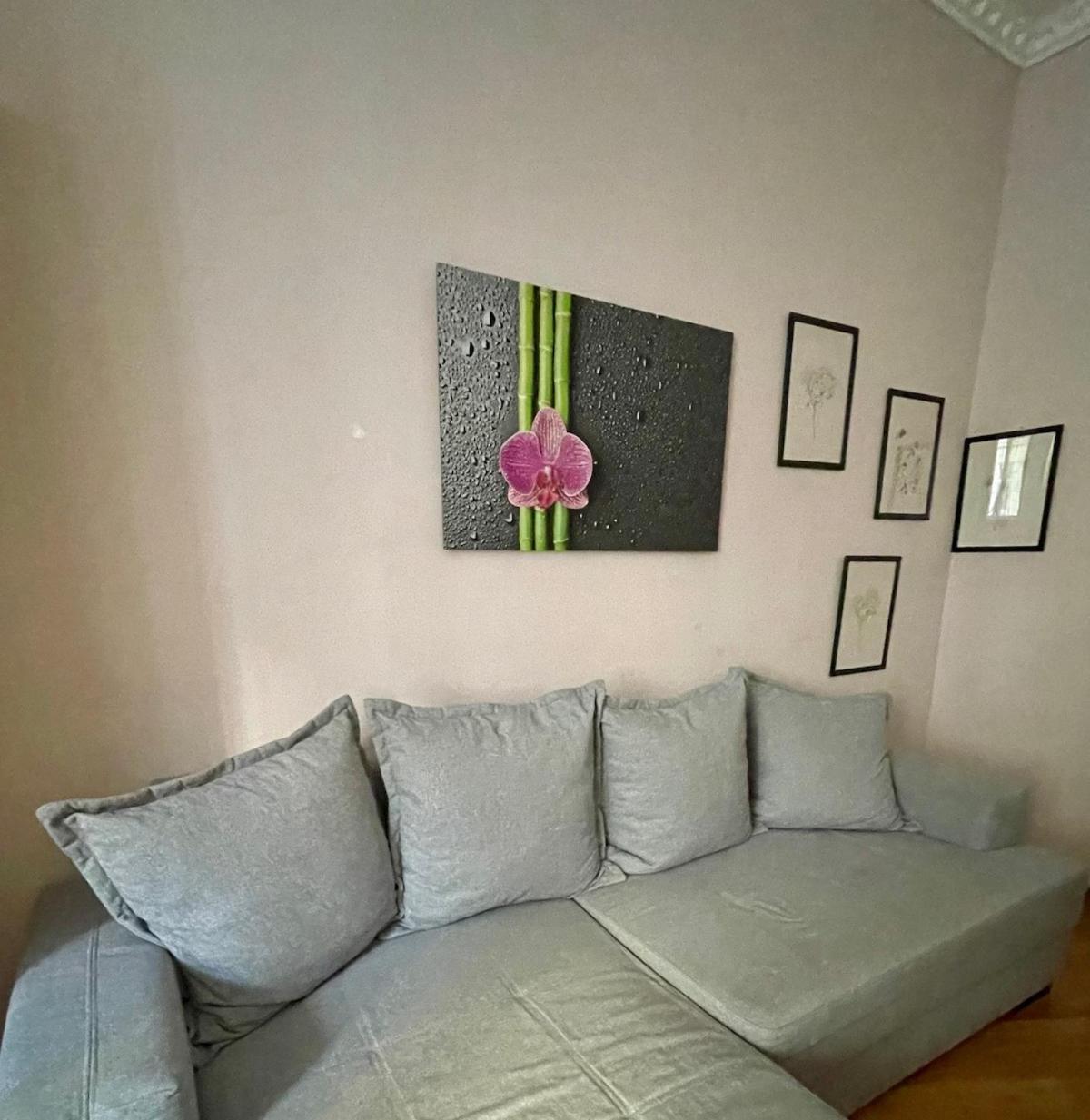 Gemutliche Wohnung Mit Super Lage Viyana Dış mekan fotoğraf